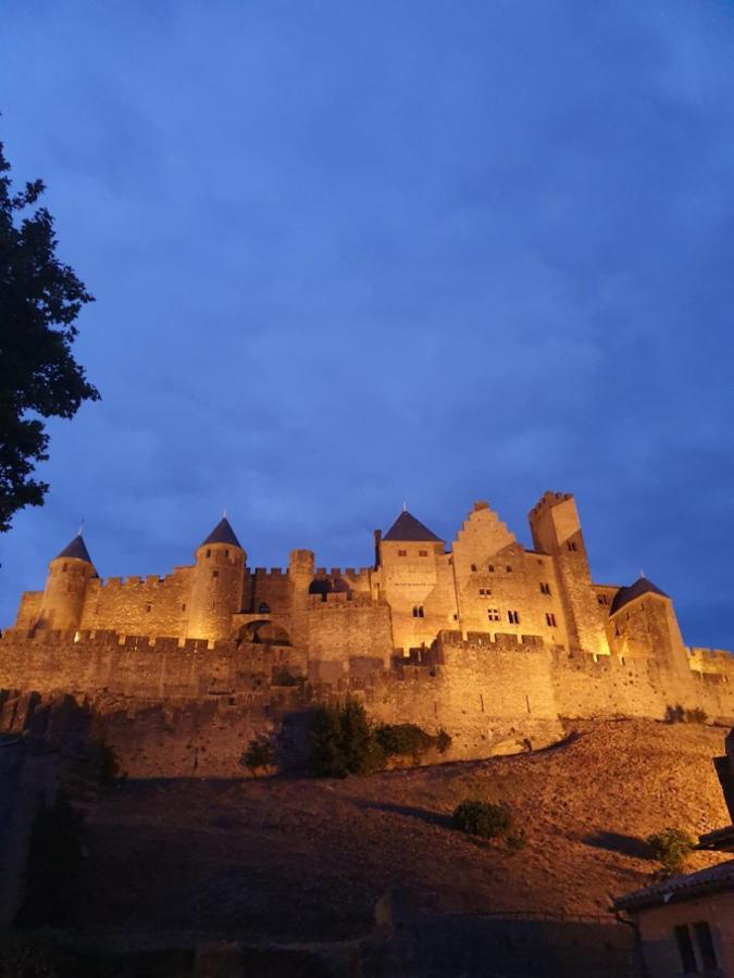 Maison Avec Jardin Au Pied De La Cite Medievale Carcassonne Bagian luar foto